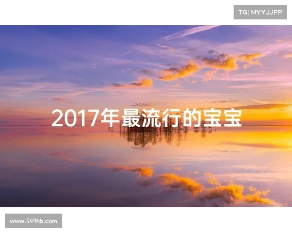2017年最 2017年最
